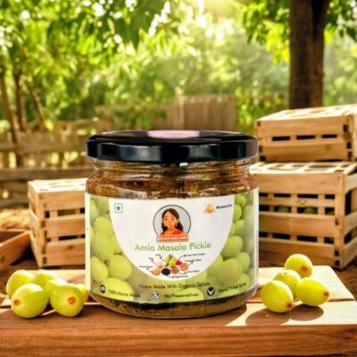 amla-masala-pickle-delhi
